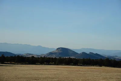 DSC_2999 (Large).JPG